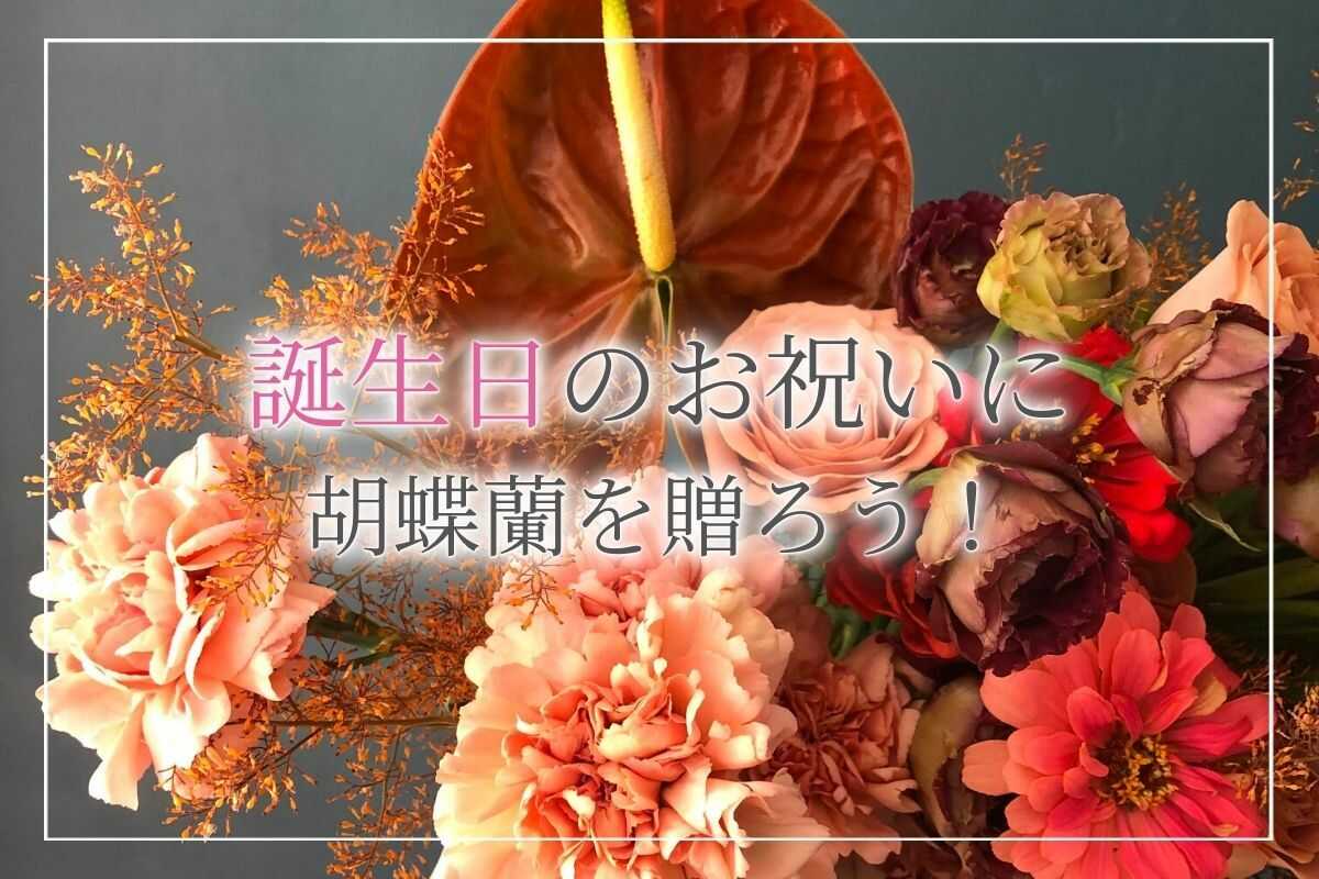 【誕生日には胡蝶蘭を！】プレゼントに喜ばれる胡蝶蘭の選び方やマナーをご紹介します